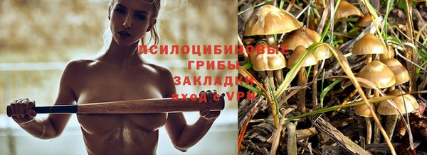 спайс Яровое